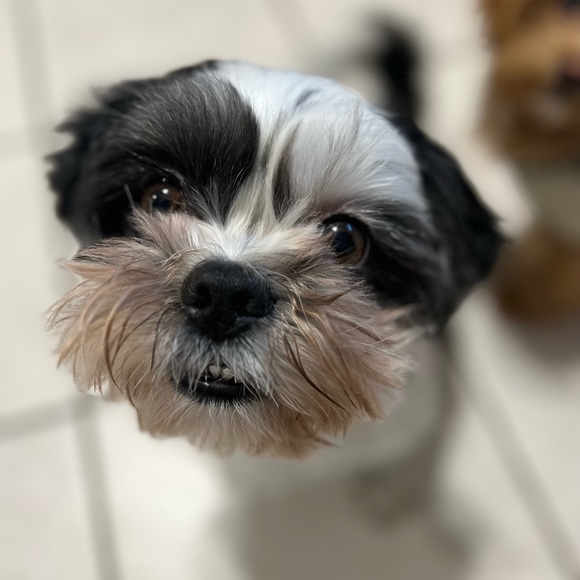 Meet your Poshers, Tracy and Taifa - Picture 10 of 14